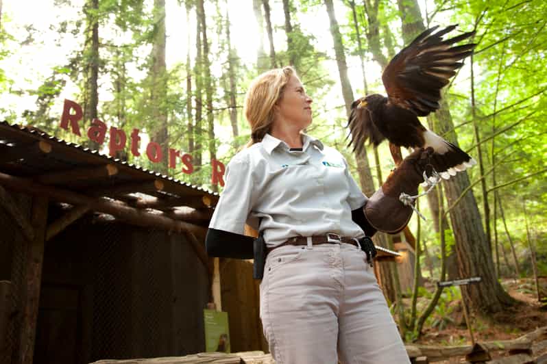 Vancouver Capilano Suspension Bridge Park SelfGuided Tour GetYourGuide