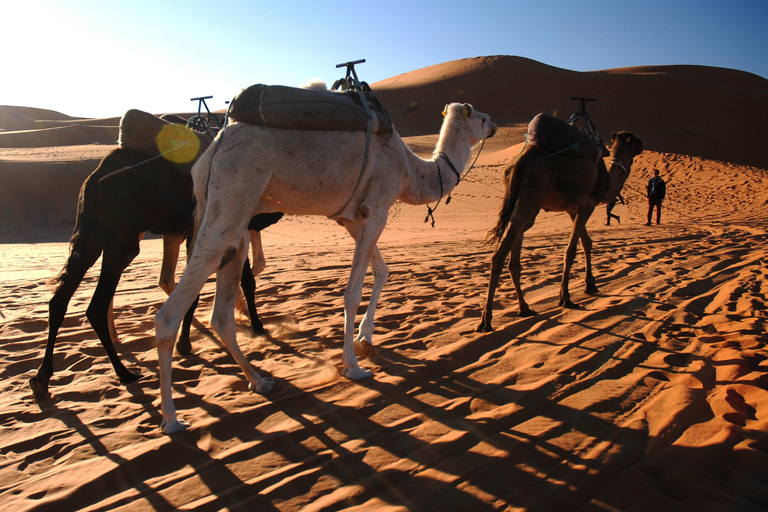 Marrakesh: driedaagse trip naar de Sahara-woestijn