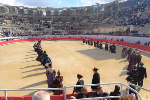 Marseille: The Camargue 8-Hour Guided Outing