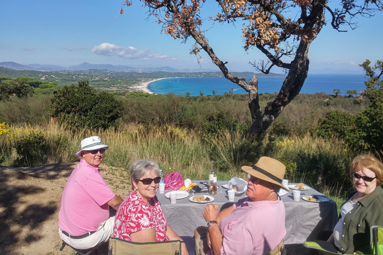 Marsella: tour de picnic provenzal de 8 horas