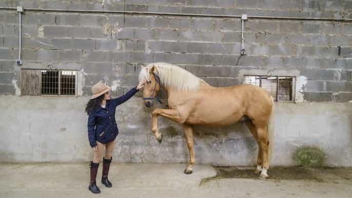 de madri experiência em segóvia e passeios a cavalo no escorial