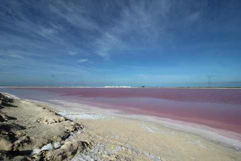 From Valladolid: Flamingo Tour, Rio Lagartos, Las Coloradas, Cenote + Lunch