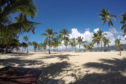 Samaná : observation des baleines