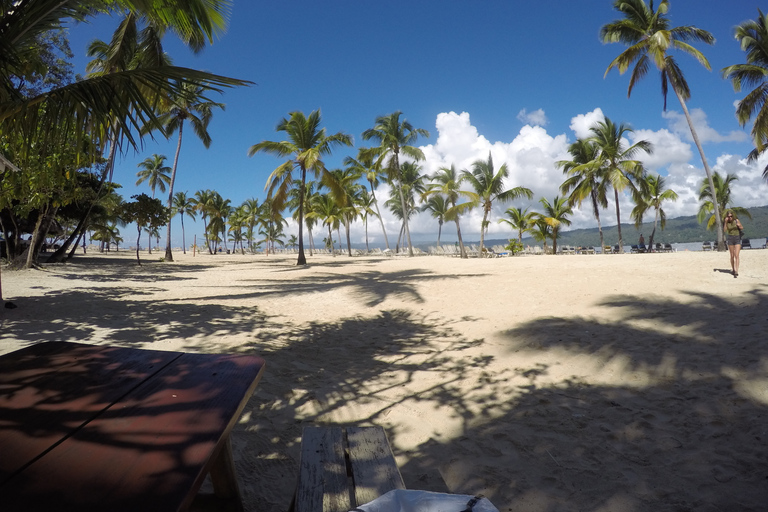 Samaná : observation des baleines