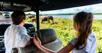 Udawalawe、国立公園Safari＆Elephant Transit Home Tour - Housity