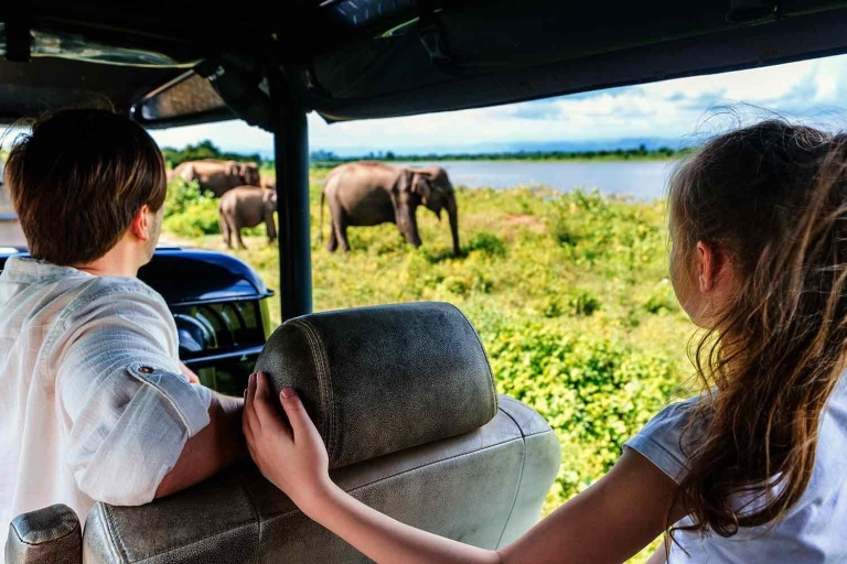 From Hikkaduwa/Galle/Weligama/Mirissa: Udawalawe Safari Tour