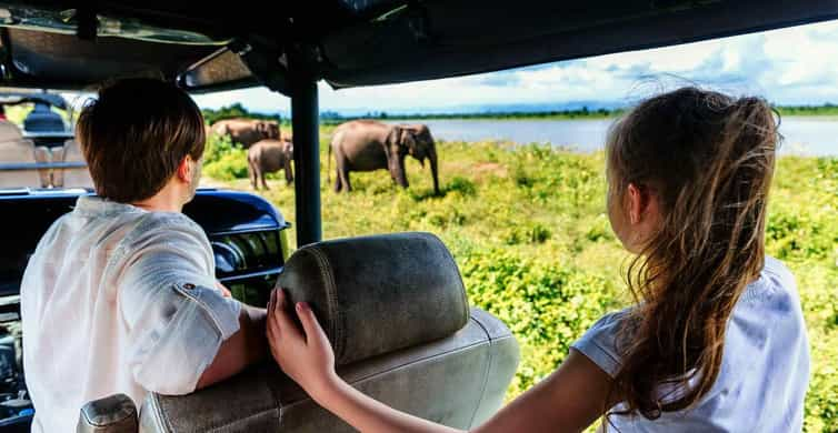 Top 10 Unforgettable Wildlife Safari Adventures in India - Exploring the Wetlands – Elephant Rides and Jeep Safaris