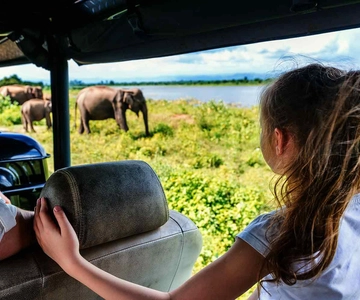 Udawalawe: Safari in het Nationaal Park & Olifantentocht naar huis