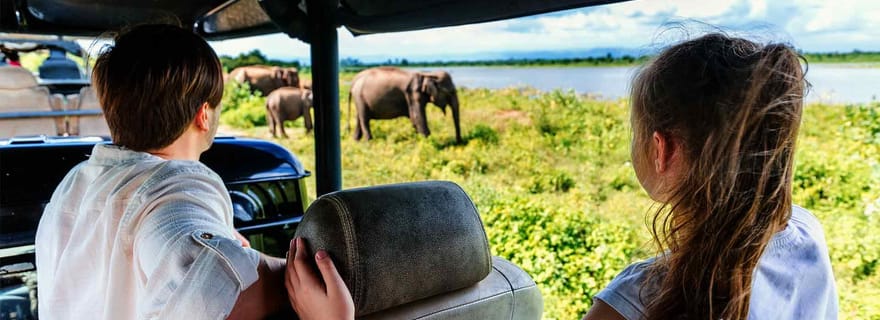 Tangalle/Hiriketiya : Safari et orphelinat d'éléphants d'Udawalawa