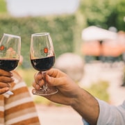 Porto: Taylor's Port Cellars & Tasting
