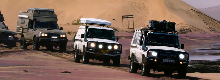 Visite guidée en voiture à Sandwich Harbour