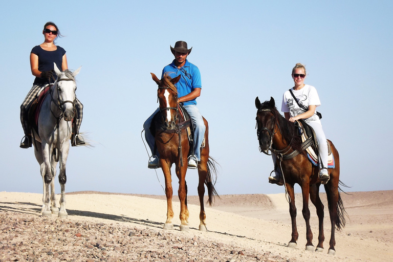 Hurghada : Excursion à cheval dans la mer et le désert, observation des étoiles, dîner et spectacleGroupe privé : Promenade à cheval d'une heure