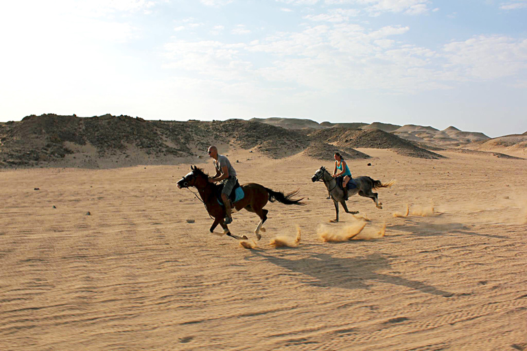 Hurghada: Tour a cavallo nel mare e nel deserto, osservazione delle stelle, cena e spettacoloGruppo privato: giro a cavallo di 1 ora