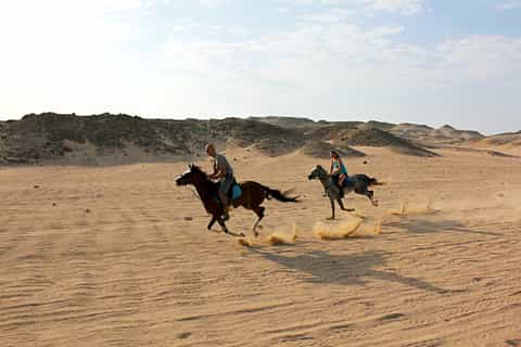 Hurghada: Sea and Desert Tour by Horse
