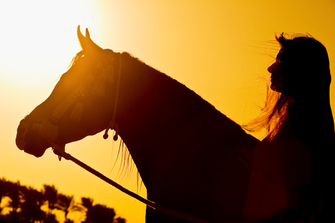 Hurghada: Passeio a cavalo pelo mar e pelo deserto, observação de estrelas, jantar e showGrupo Privado: Passeio a Cavalo de 1 Hora