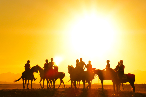 Hurghada: Tour a cavallo nel mare e nel deserto, osservazione delle stelle, cena e spettacoloGruppo privato: giro a cavallo di 1 ora