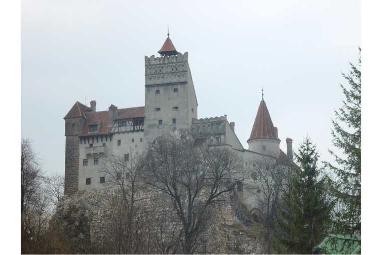 Dracula : visite privée d'une journée au château