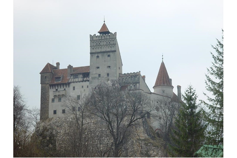 Ab Bukarest: Tagesausflug zum Schloss DraculaPrivater Tagesausflug