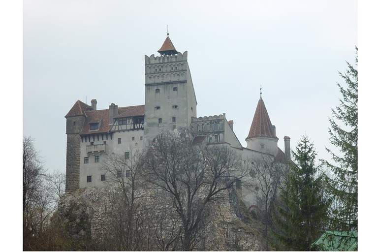 Från Bukarest: Dracula Castle Day TripPrivat dagsutflykt