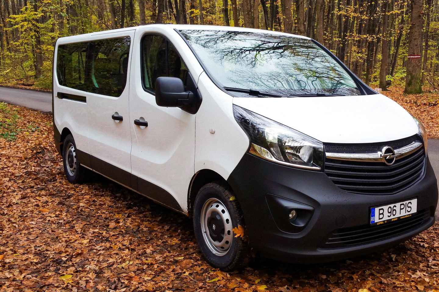 Частный трансфер из аэропорта Бухареста