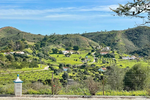 Albufeira, Olhão, Faro: visit to a vineyard, free time in Silves