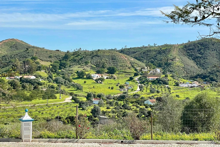 Albufeira, Olhão, Faro: visit to a vineyard, free time in Silves