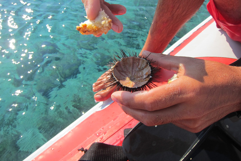 Mykonos: Excursión Privada en Barco y Safari Marino con Snorkel