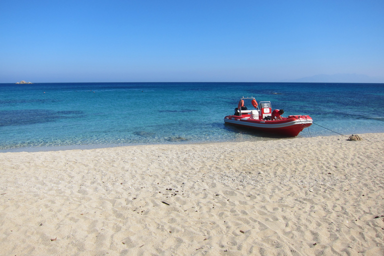 Mykonos: Excursión Privada en Barco y Safari Marino con Snorkel