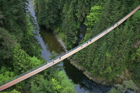 Vancouver: stadstour en ticket voor de hangbrug Capilano