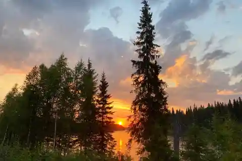 Swedish Lapland: Summer Hike and Midnight Sun Dinner