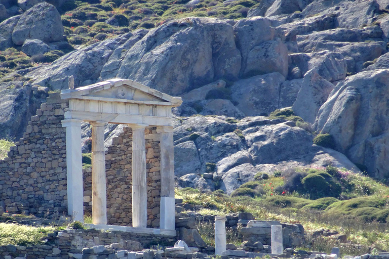 From Mykonos: Ancient Delos Tour From Mykonos: Ancient Delos Tour without Pick-Up