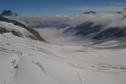 Maestà alpina: Tour privato esclusivo da Basilea a JungfraujochTour privato