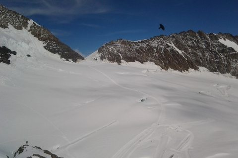 Majestade alpina: Basiléia a Jungfraujoch Tour Privado ExclusivoTour Privado