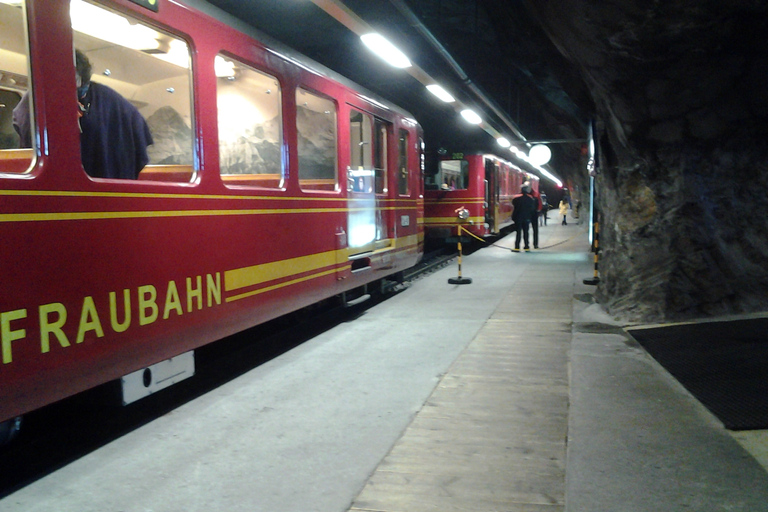 Maestà alpina: Tour privato esclusivo da Basilea a JungfraujochTour privato