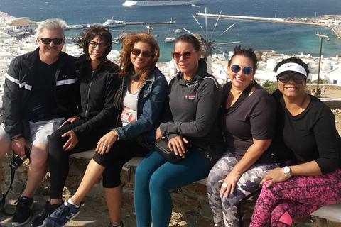 Mykonos: Passeio turístico de dia inteiro com almoçoMykonos: excursão turística de dia inteiro com almoço