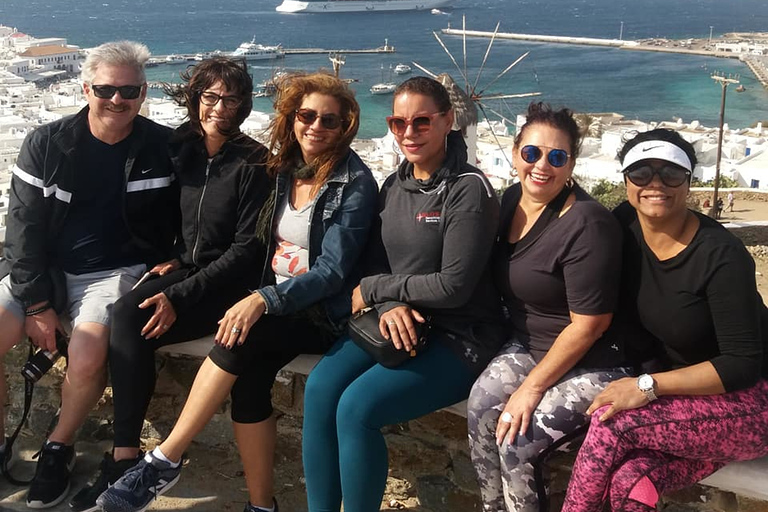 Mykonos: Full-Day Sightseeing Tour met lunch