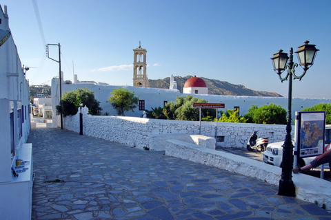 Mykonos: Visite guidée d'une journée avec déjeuner