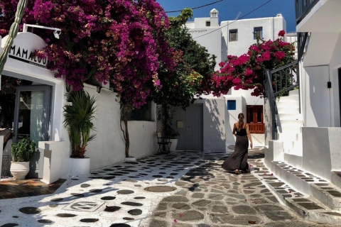 Mykonos: Full-Day Sightseeing Tour with Lunch