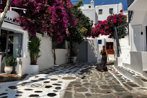 Mykonos: Visite guidée d'une journée avec déjeuner