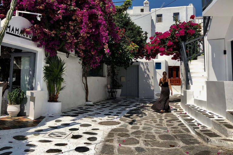 Mykonos: Passeio turístico de dia inteiro com almoçoMykonos: excursão turística de dia inteiro com almoço