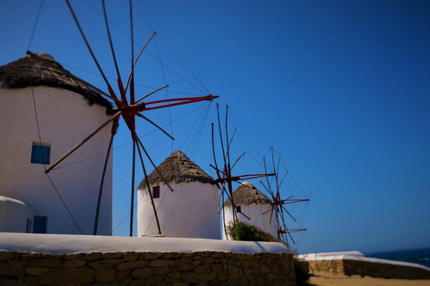 Mykonos: Visite guidée d'une journée avec déjeuner