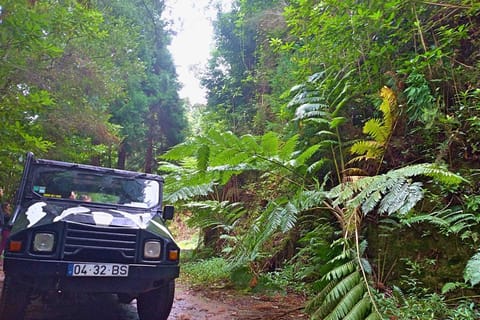Madeira: Jeep Safari Tour