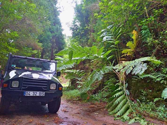 Madeira: Jeep Safari Tour