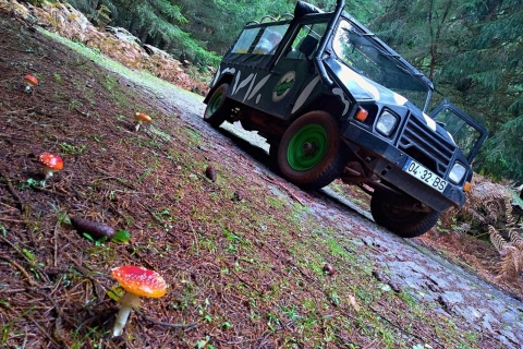 Madeira: Jeep Safari Tour