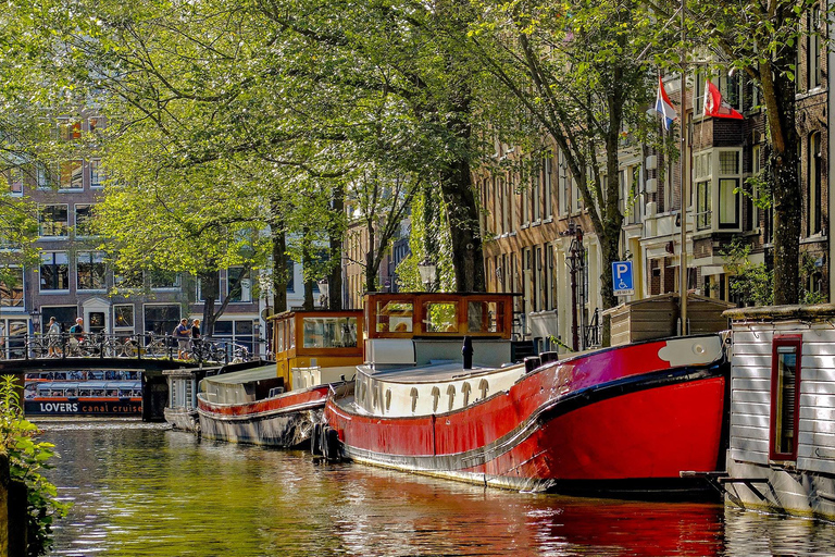 Amsterdam: Tour panoramico con transfer aeroportualeAmsterdam: giro turistico dello scalo con trasferimento aeroportuale