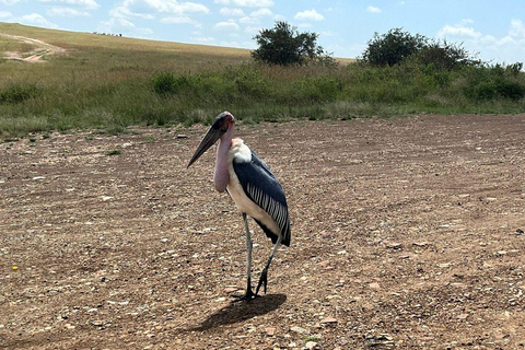 Nairobi: 3-Day epic trip to Maasai Mara Reserve with meals 3 days, 2 nights private safari to Mara in a tourist VAN