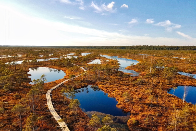 Riga: lo mejor del parque nacional de Kemeri en un día