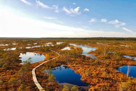 Ab Riga: Halbtägige Abenteuer-Tour im Kemeri-Nationalpark
