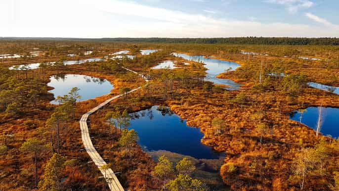 from riga halfday adventure in kemeri national park