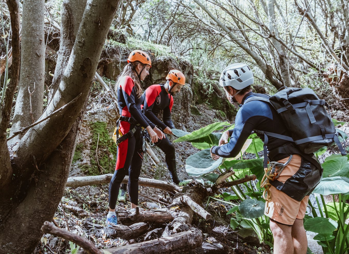 Gran Canaria: Canyoning i regnskoven